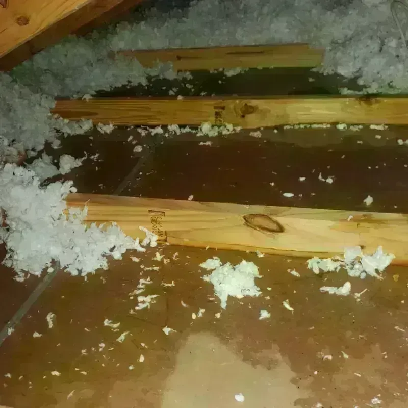 Attic Water Damage in Kekaha, HI